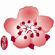 China Airlines